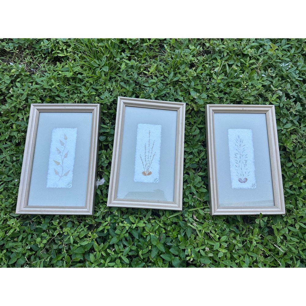 Set of 3 Signed Intesa 2003 Botanical Pressed Art Champagne Gold Frames 7x11
